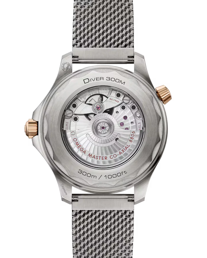 Seamaster Diver 300M